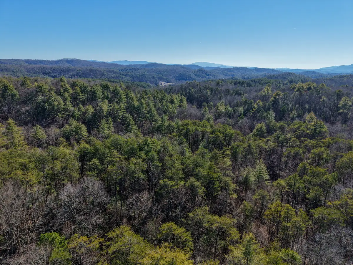 0 Maple Springs Road, Tellico Plains, TN 37385 - #1
