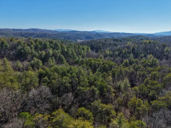 0 Maple Springs Road, Tellico Plains, TN 37385