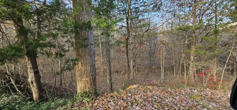 1328 Highway 310, Englewood, TN 37329 - #3