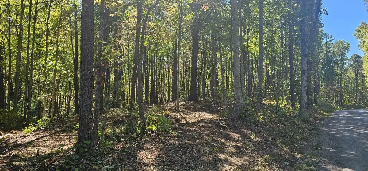 208 Old Furnace Road, Tellico Plains, TN 37385 - #1