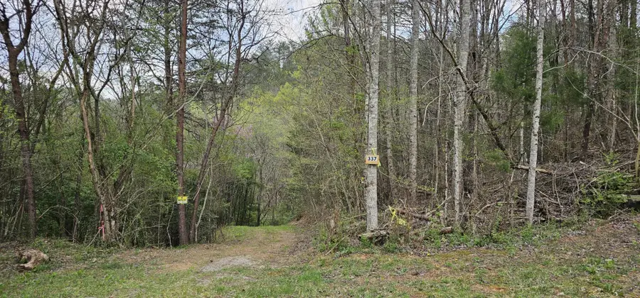 337 Price Road, Reliance, TN 37369 - #3
