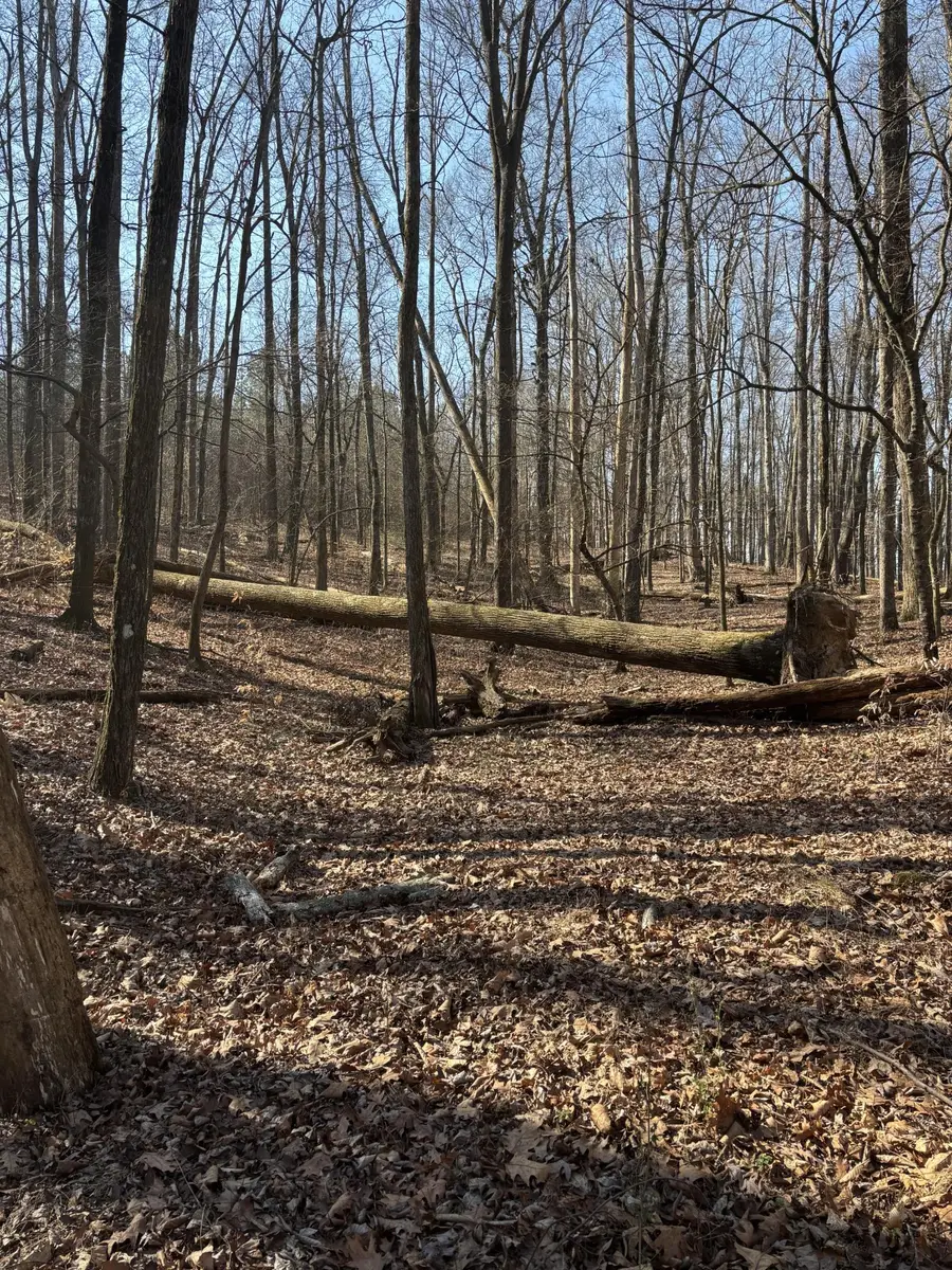 0 Johnson Rd Se Road Se, Cleveland, TN 37323 - #2