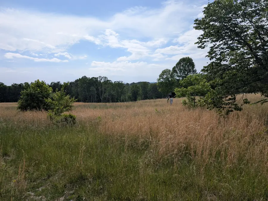 1615 Burdette Road, Grandview, TN 37337 - #2