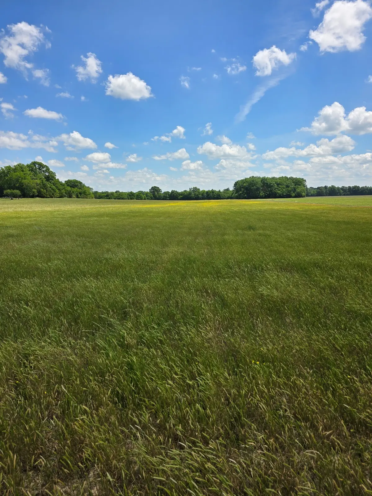 0 Shoemaker Rd, Eagleville, TN 37060 - #1