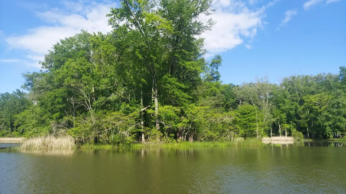 45 Warren Lane, Decatur, TN 37322 - #1