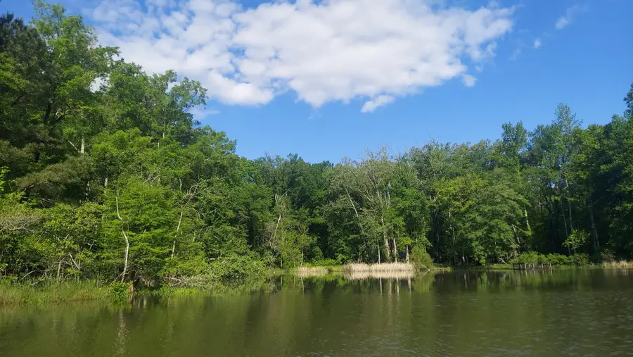 45 Warren Lane, Decatur, TN 37322 - #2
