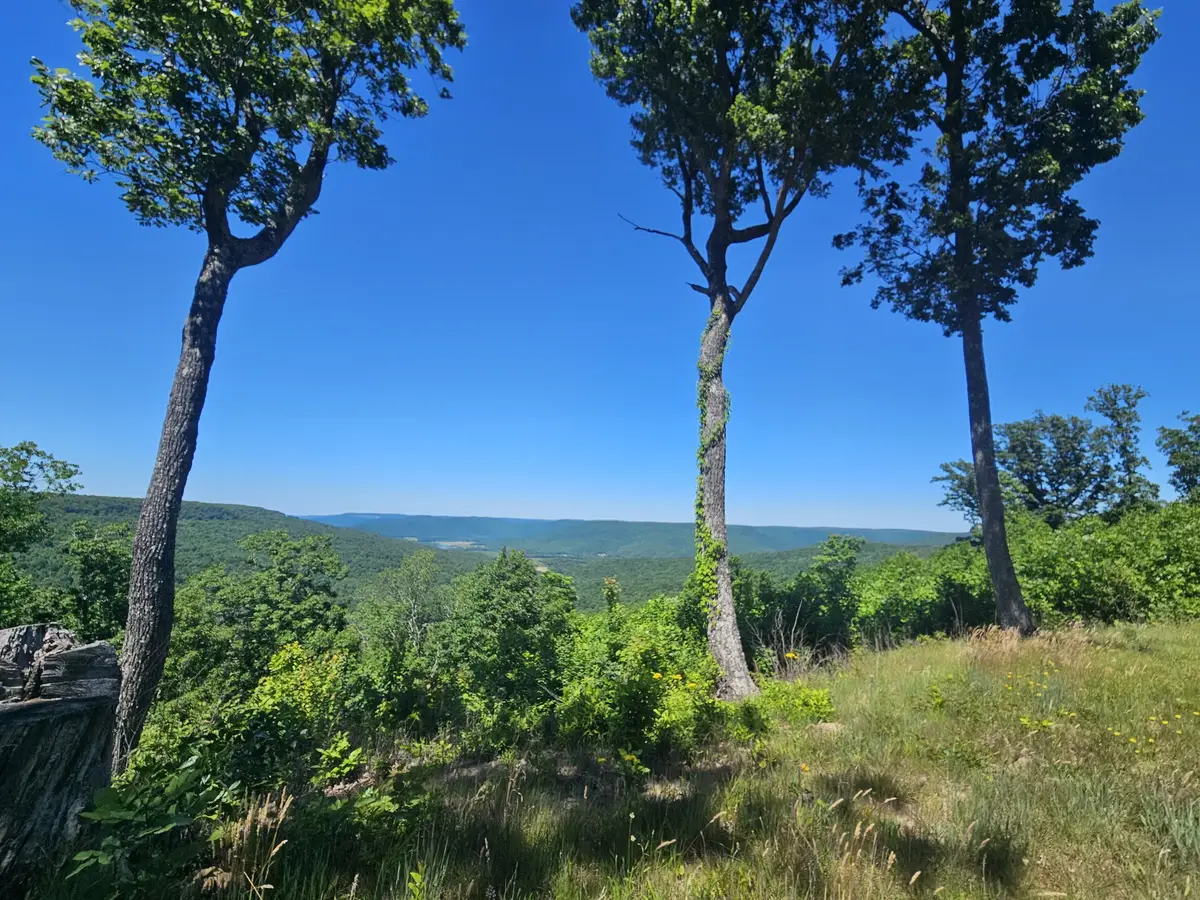 309 Blackberry Rd, Beersheba Springs, TN 37305 - #1