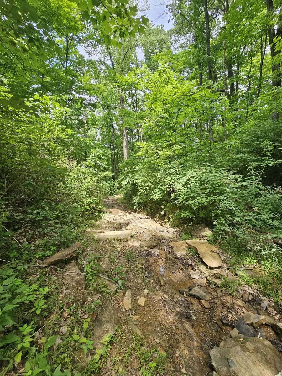 309 Blackberry Rd, Beersheba Springs, TN 37305 - #3