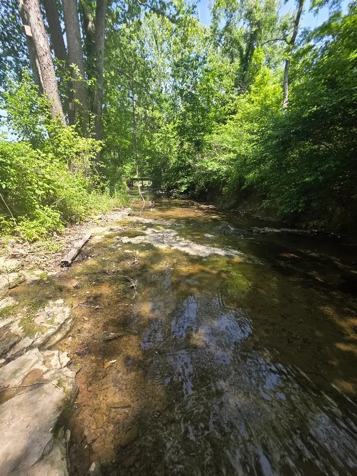 1310 Carney Winters Rd, Ashland City, TN 37015 - #3