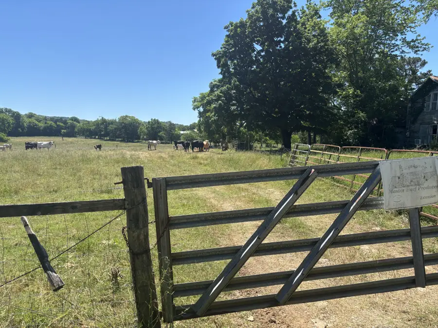 10171 Rockvale Rd, Rockvale, TN 37153 - #3