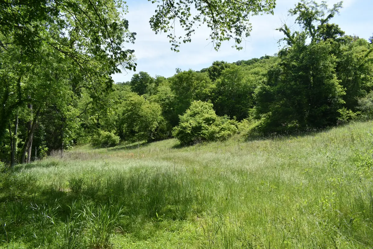 0 Brooks Bend Lane, Gainesboro, TN 38562 - #1