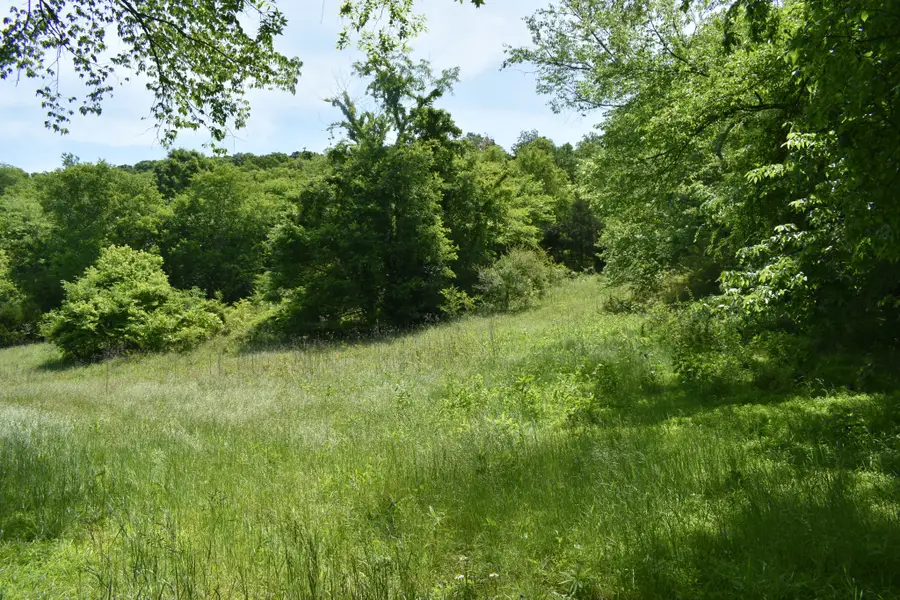 0 Brooks Bend Lane, Gainesboro, TN 38562 - #2