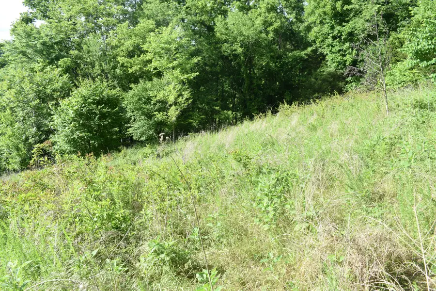 0 Brooks Bend Lane, Gainesboro, TN 38562 - #3
