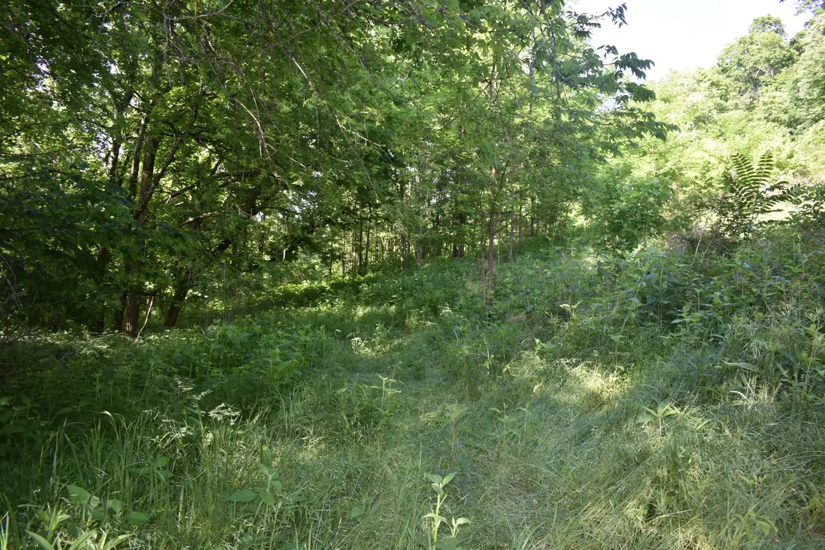0 Brooks Bend Lane, Gainesboro, TN 38562 - #1