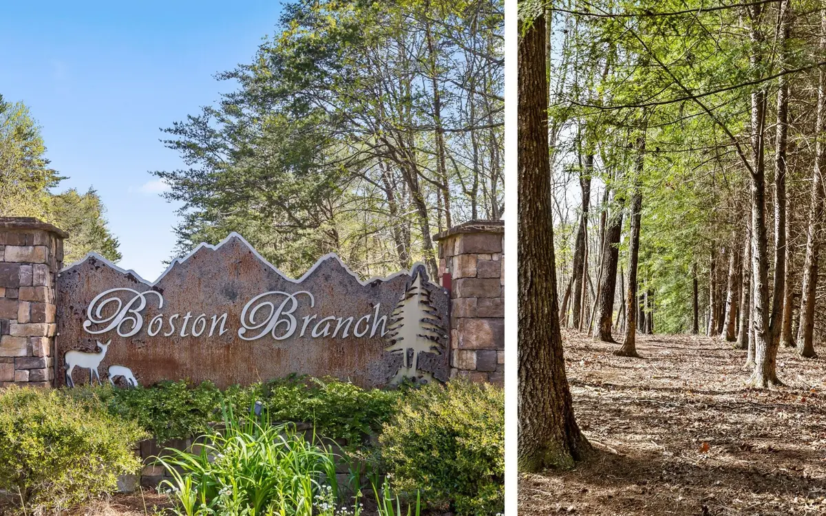 2593 Boston Branch Circle, Signal Mountain, TN 37377 - #1