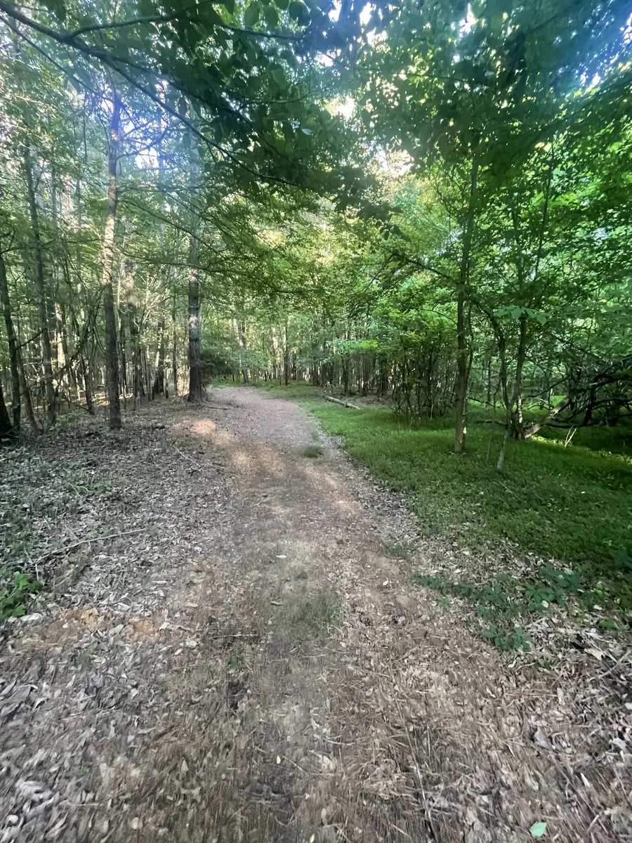 0 Leach Road, Huntingdon, TN 38344 - #3