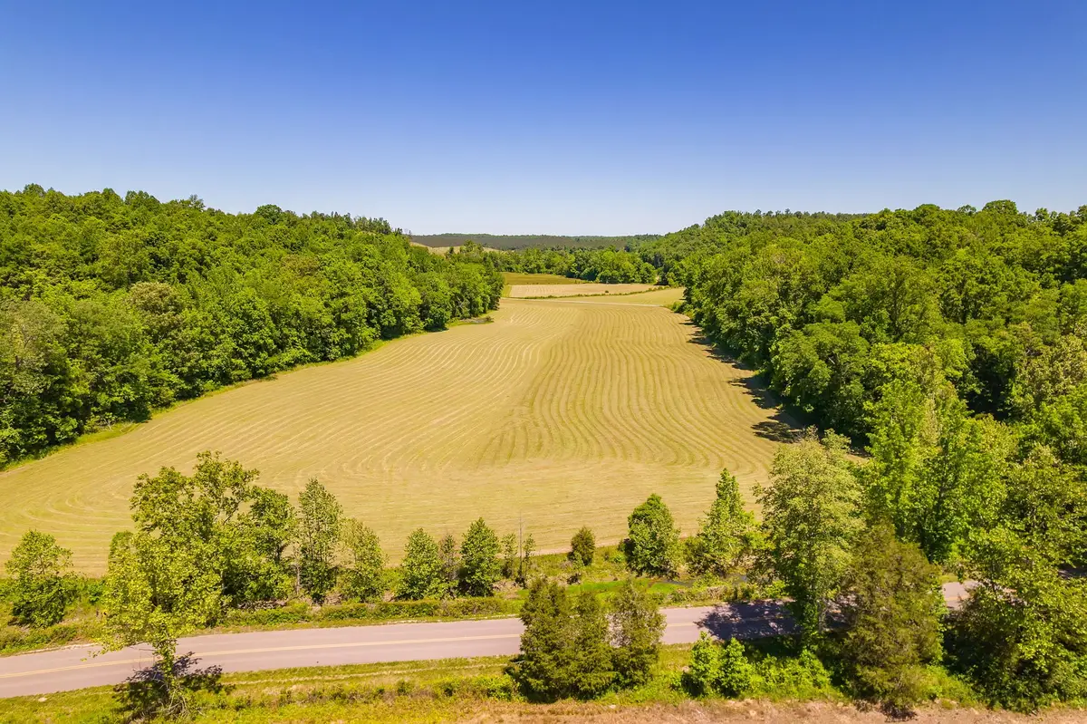 2119 Bunches Chapel Rd, Parsons, TN 38363 - #1