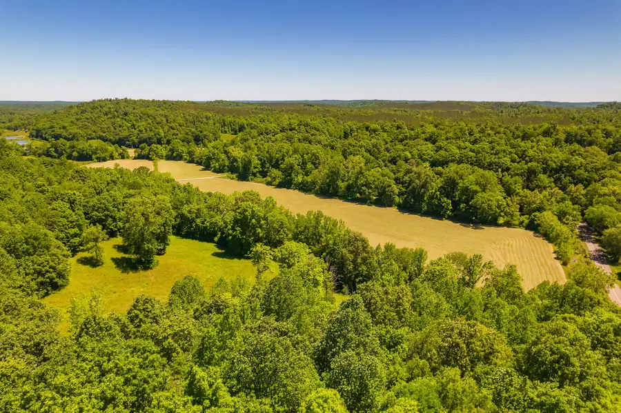 2119 Bunches Chapel Rd, Parsons, TN 38363 - #3