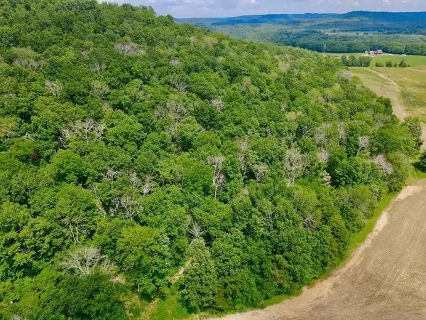 0 Thorn Gap Rd, Cookeville, TN 38506