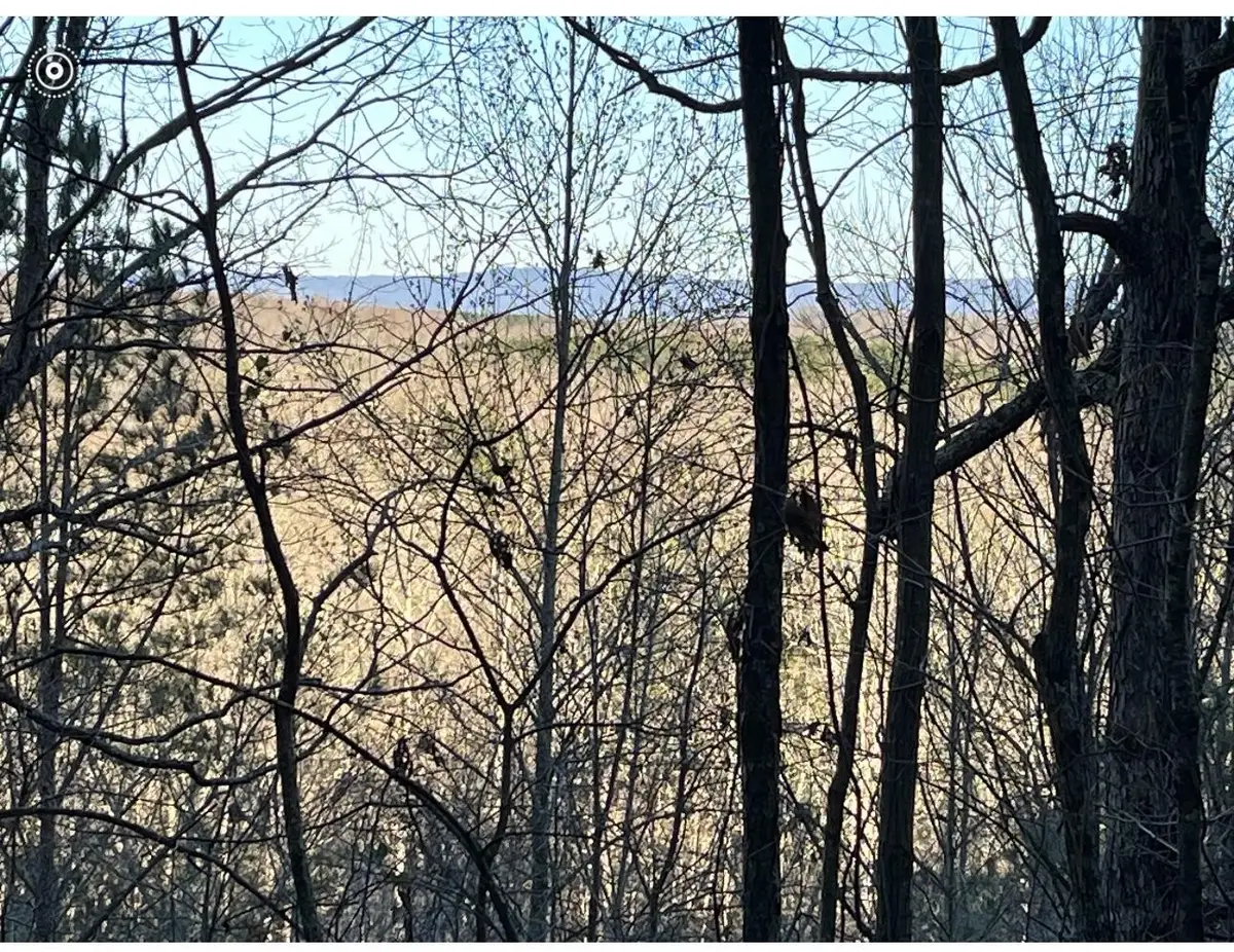 0 County Road 956, Calhoun, TN 37309 - #1