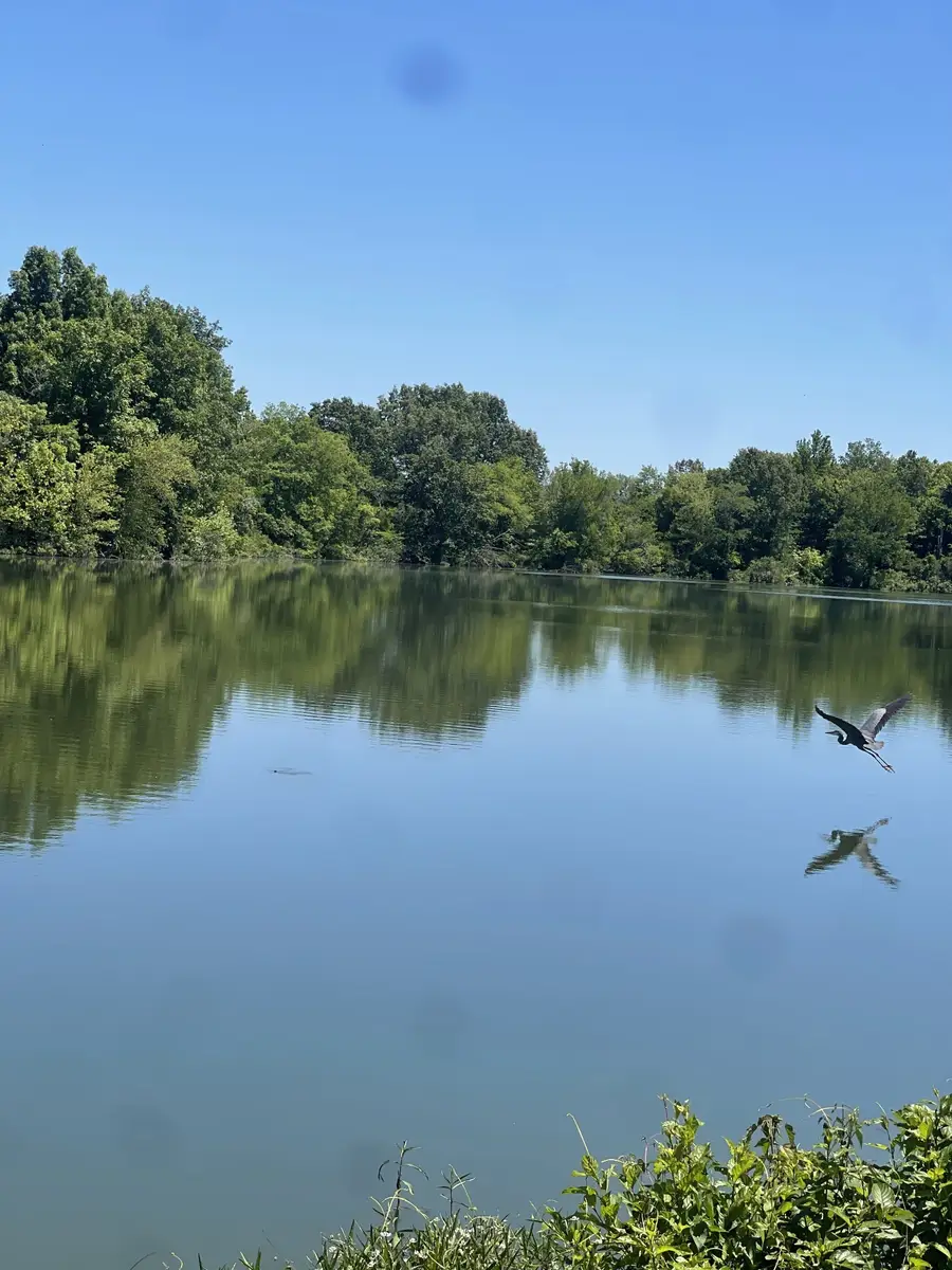 120 Manners Rd, Dover, TN 37058 - #3