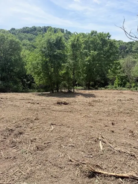 32 Preston Hollow Ln, Hickman, TN 38567 - #3