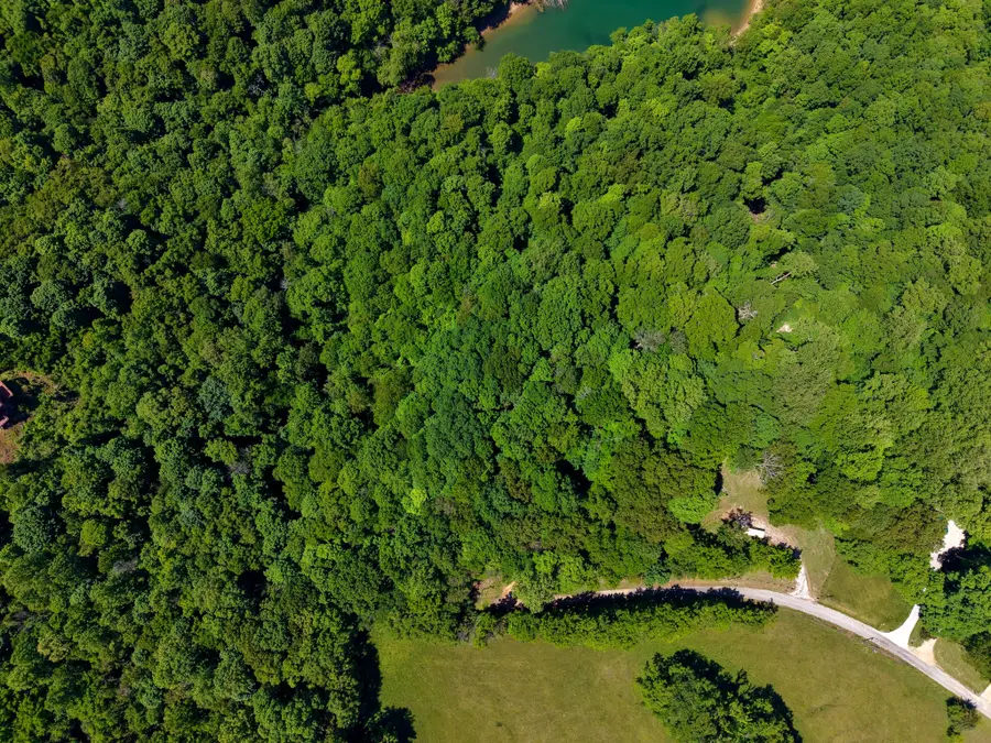 0 Charlie Melton Rd, Allons, TN 38541 - #3