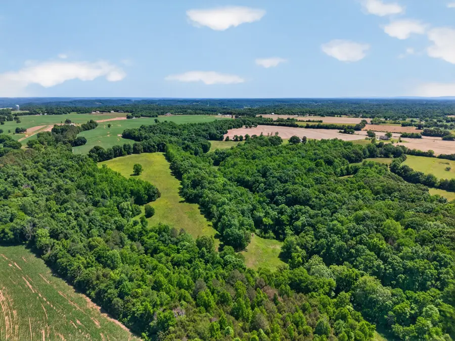 37 Old Mclemore Rd, Taft, TN 38488 - #3