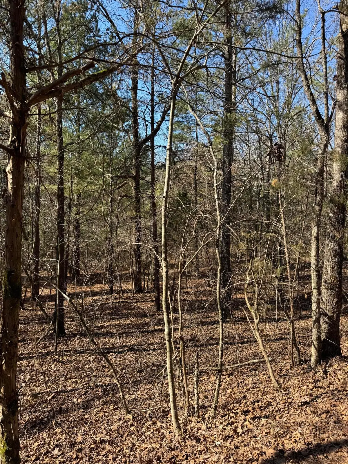 2311 John Wesley Trail, Harrison, TN 37341 - #1