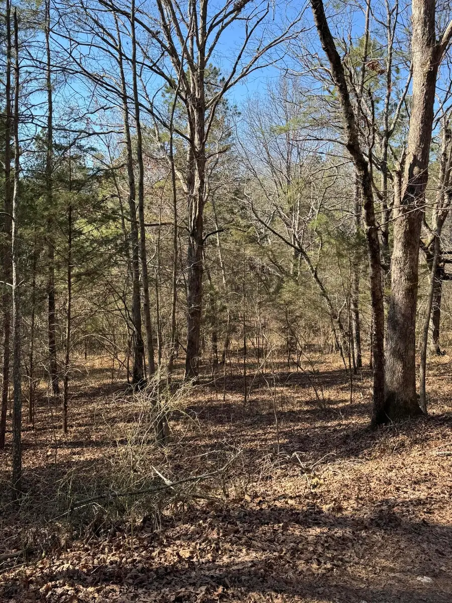2311 John Wesley Trail, Harrison, TN 37341 - #2