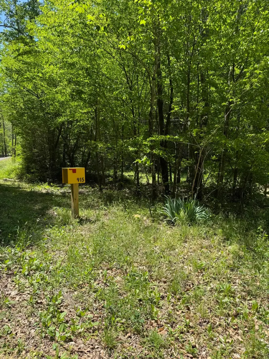 915 Chestnut Valley Road, Vonore, TN 37885 - #2