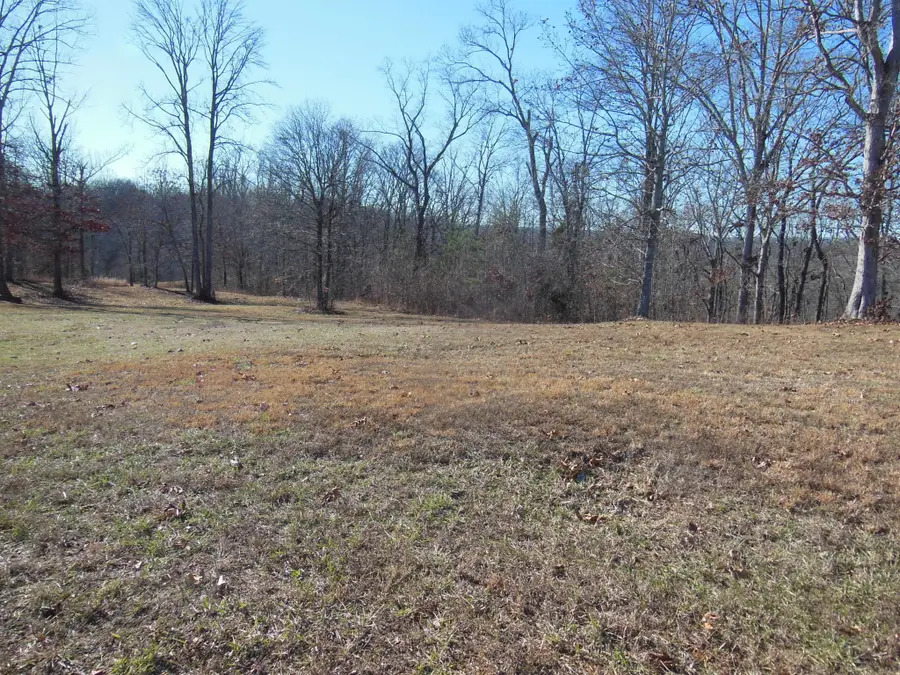 140 Quail Hollow Cove, Spring City, TN 37381 - #3