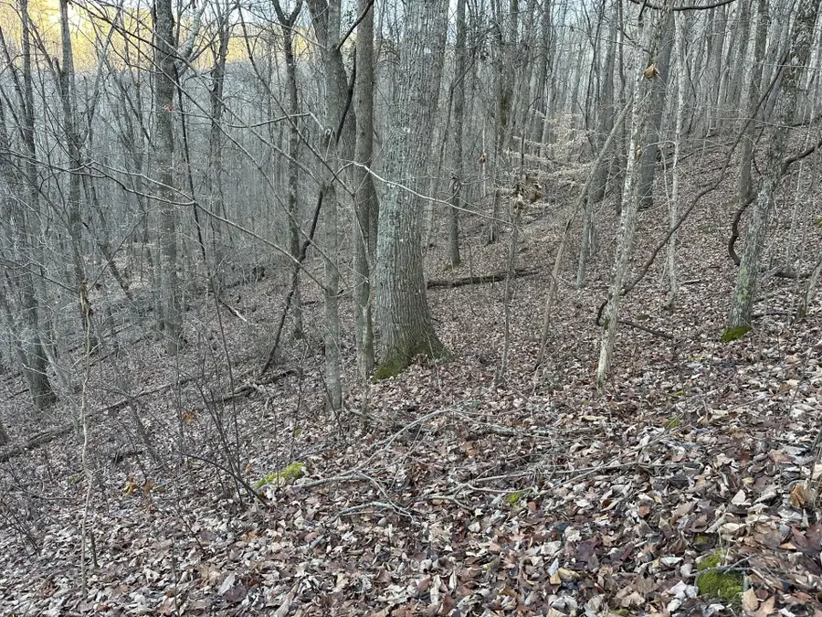 83 Stone Ridge Road, Pikeville, TN 37367 - #2