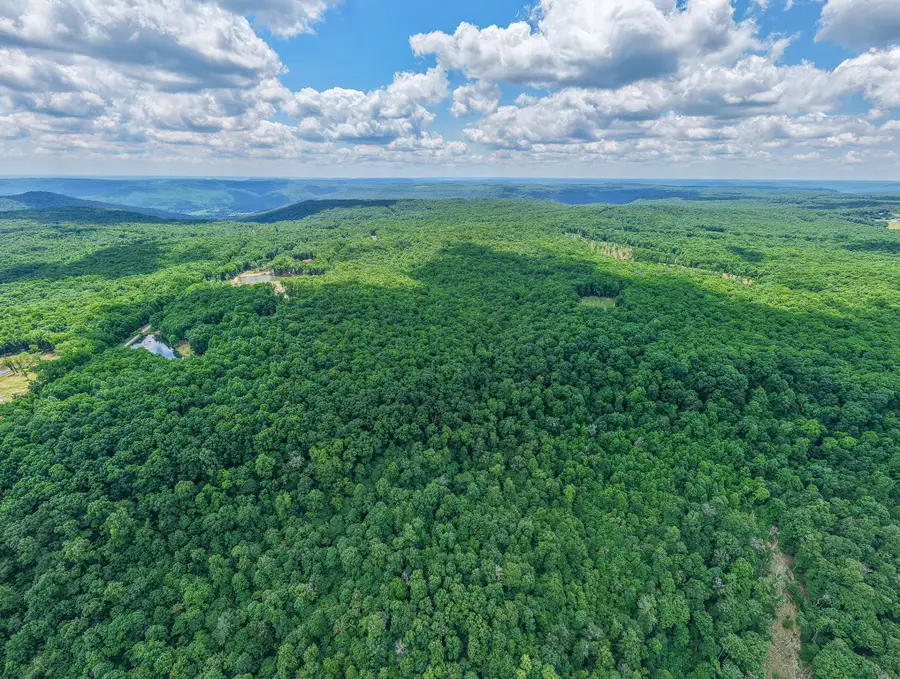 1215 Stage Coach Rd, Sewanee, TN 37375 - #3