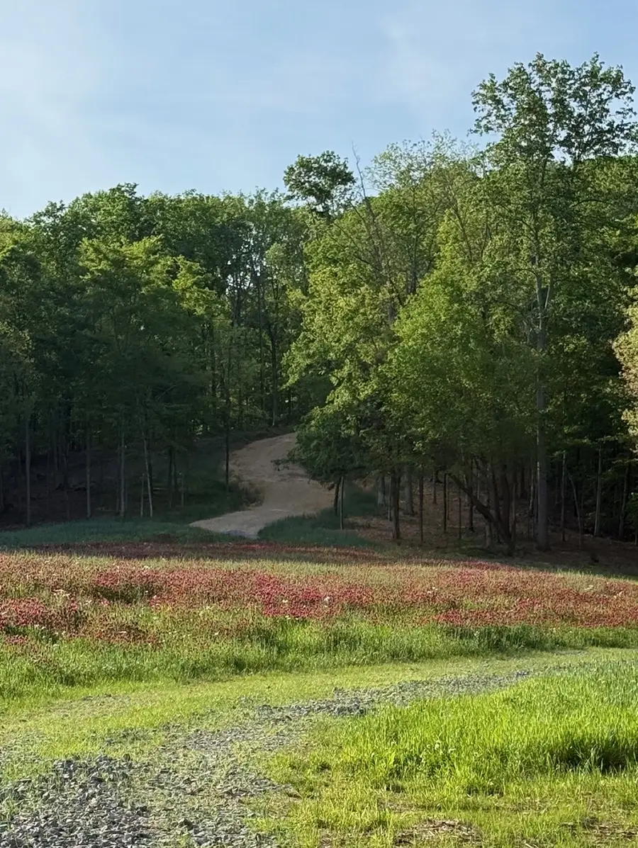 5284 Poor House Hollow Rd, Franklin, TN 37064 - #3