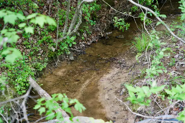 0 Creek Side Lane, Spencer, TN 38585