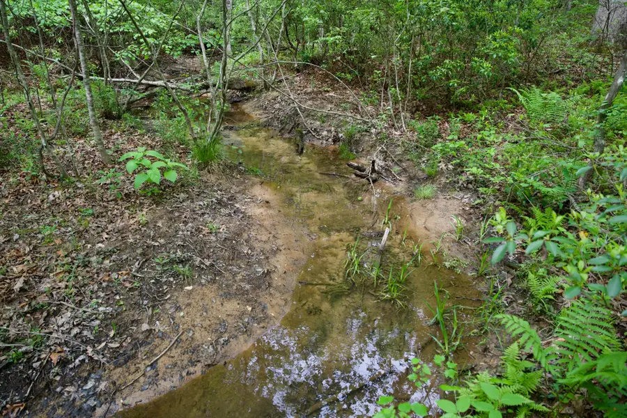 0 Creek Side Lane, Spencer, TN 38585 - #3