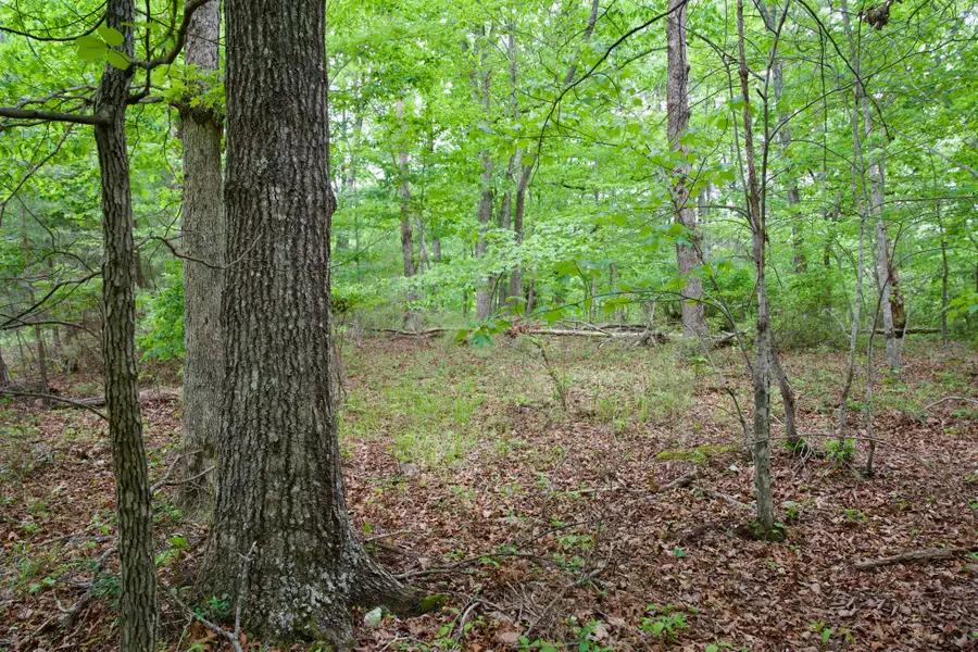 0 Coyote Trail, Spencer, TN 38585 - #2