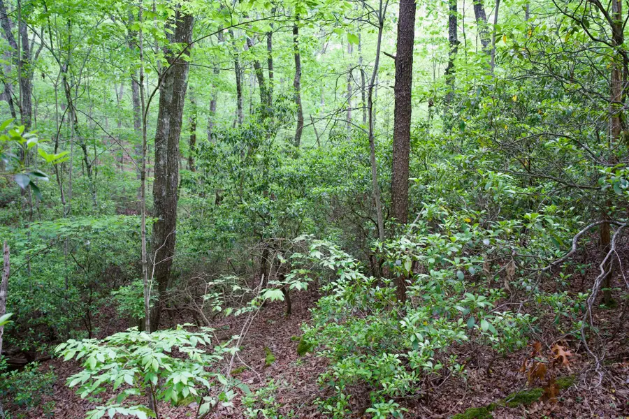 0 Coyote Trail, Spencer, TN 38585 - #3