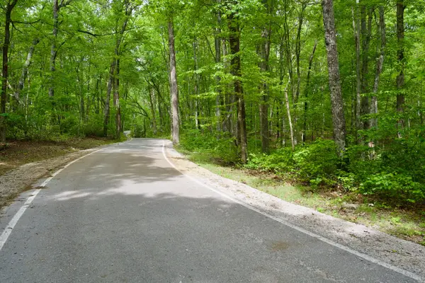 0 Hills Cemetery Rd, Spencer, TN 38585