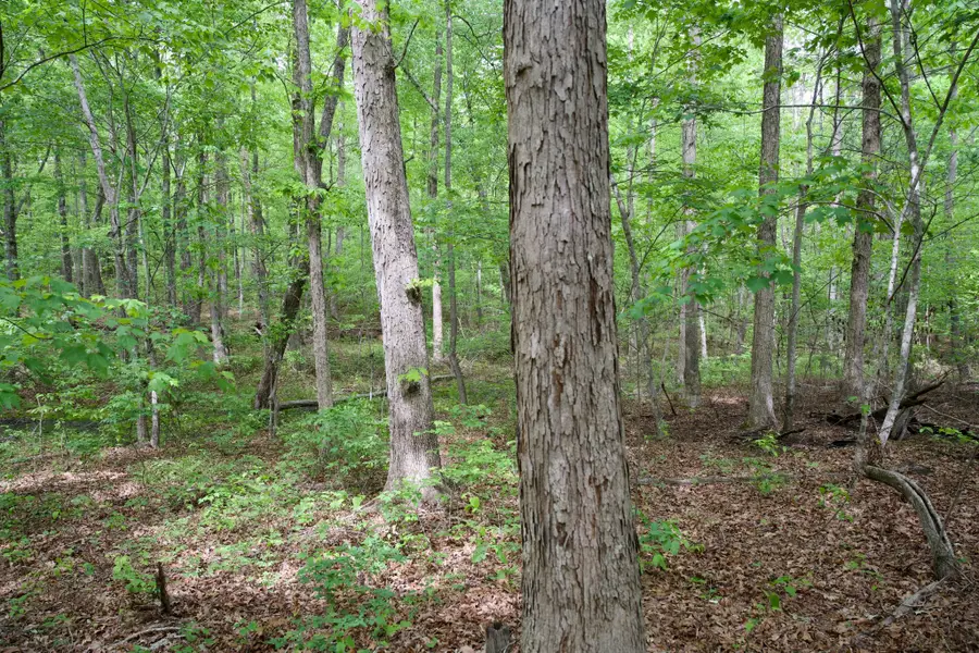 0 Hills Cemetery Rd, Spencer, TN 38585 - #2