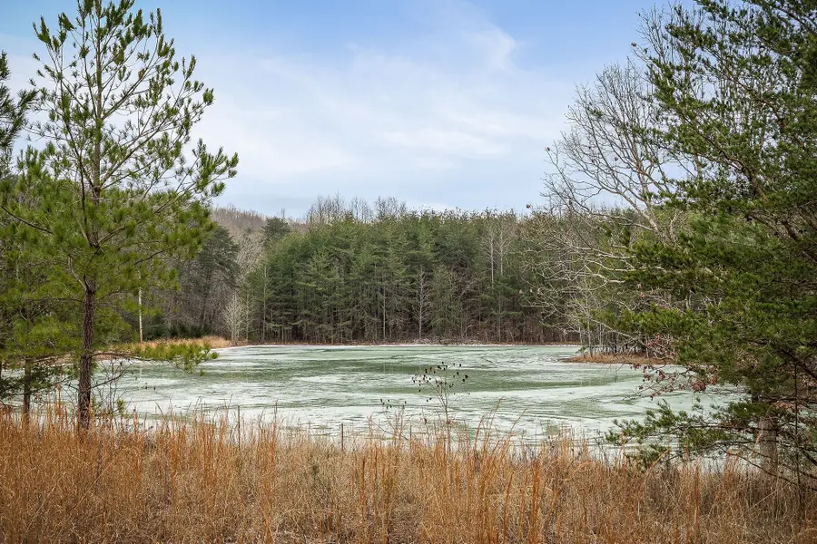 214 Edmonds Rd, Spencer, TN 38585 - #3
