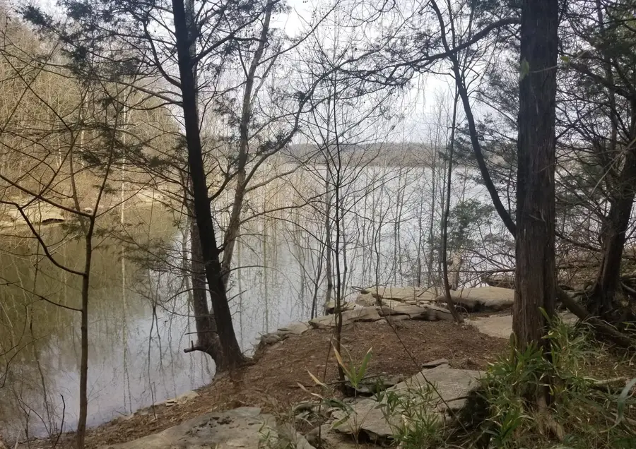 193 Wilson Cir, Smithville, TN 37166 - #3