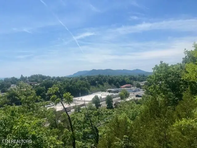425 Cliffwood Drive, Newport, TN 37821 - #2