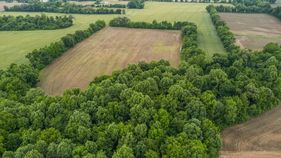 0 Tippett Ln, Brownsville, TN 38012 - #3