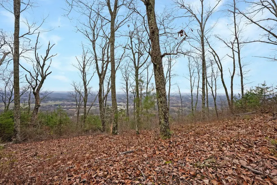 9 Escape Drive, Evensville, TN 37332 - #3