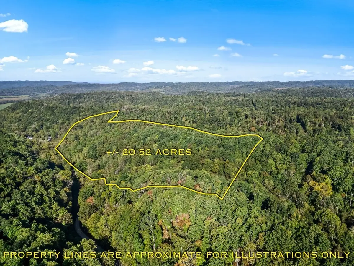 1979 Norton Branch Road, Beechgrove, TN 37018 - #1