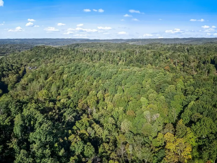 1979 Norton Branch Road, Beechgrove, TN 37018 - #3