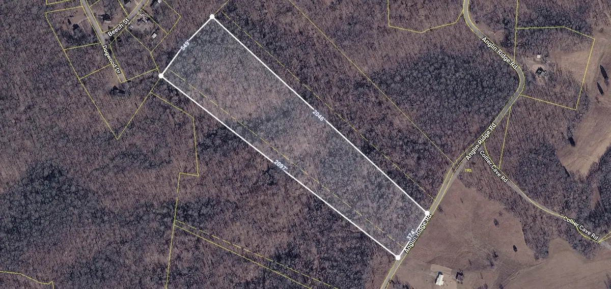 2 Anglin Ridge Rd, Dover, TN 37058 - #1