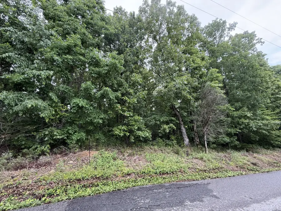 2 Anglin Ridge Rd, Dover, TN 37058 - #2